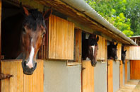 free Downpatrick stable construction quotes