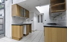 Downpatrick kitchen extension leads